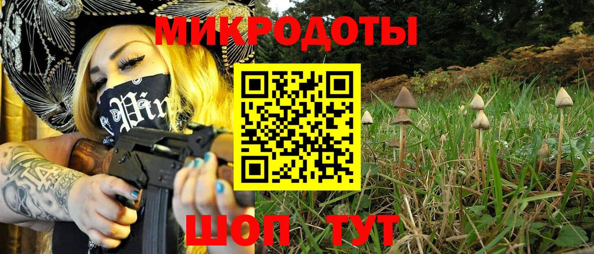 Псилоцибиновые грибы мицелий Печора