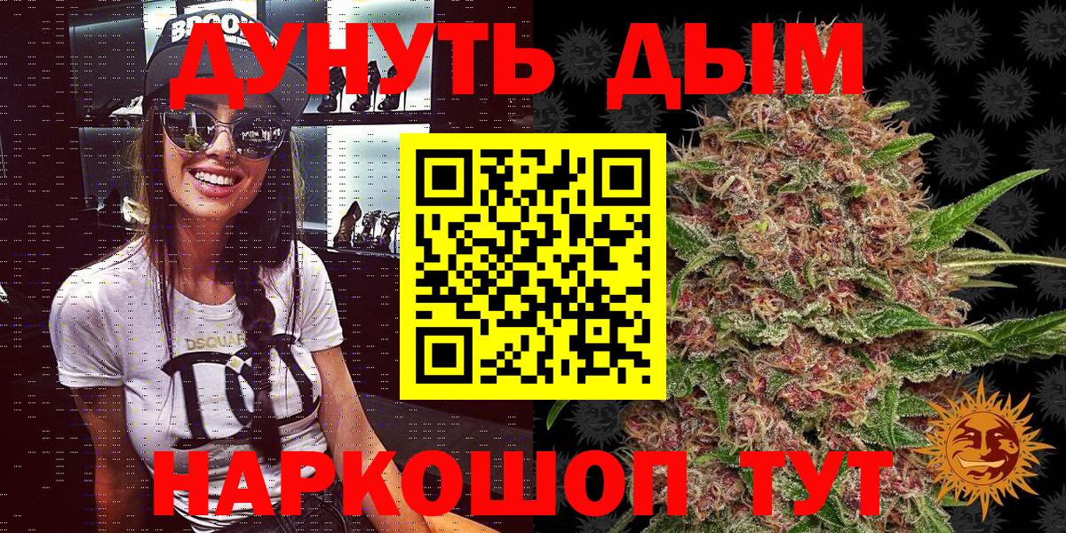 Конопля планчик Печора